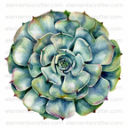 30 Watercolor Flowers PNG Transparent Elements Pack - 6600x6600 px 300 DPI | Digital Download | WCCA-0126 | Bundle-1