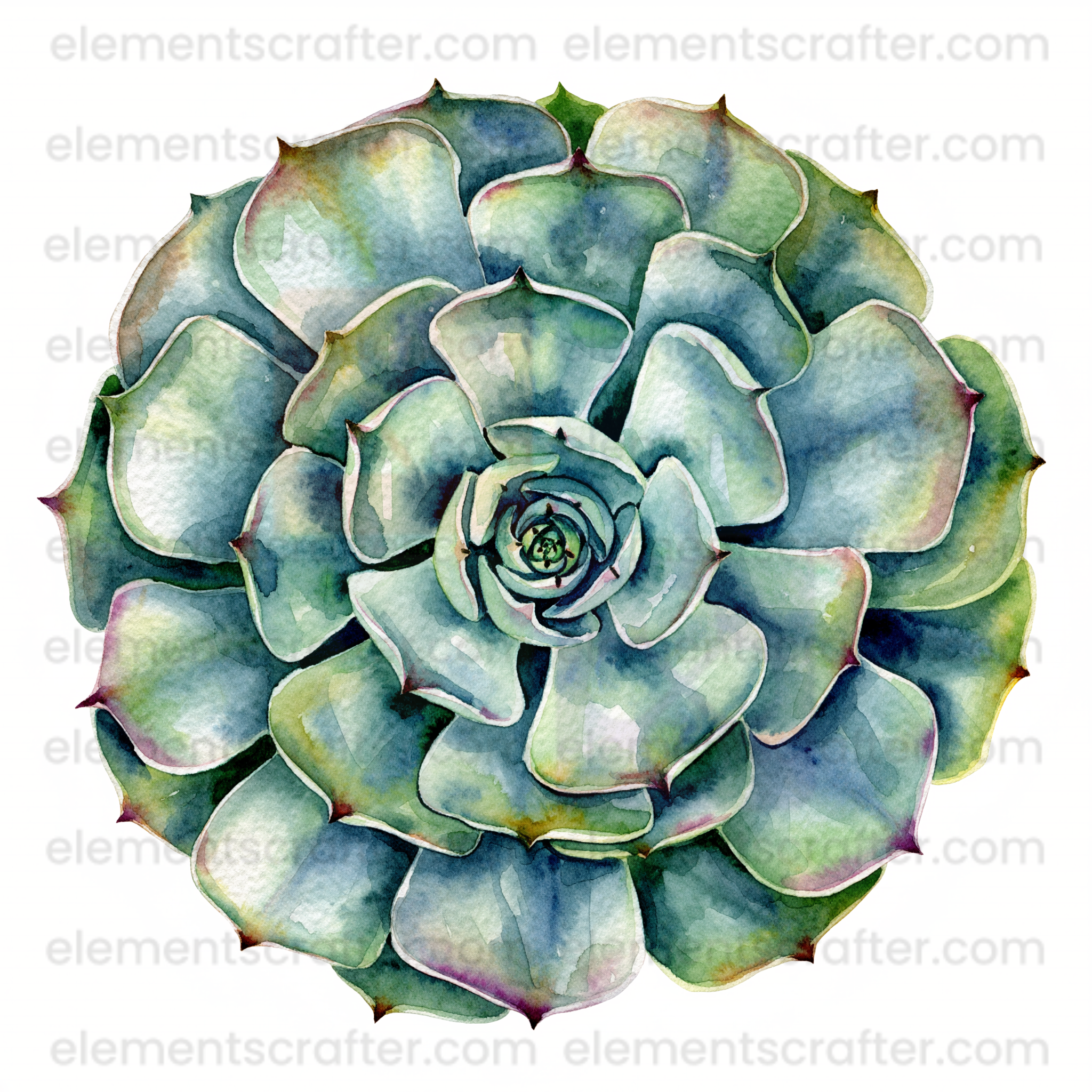 10 Watercolor Flowers PNG Transparent Elements Pack - 6600x6600 px 300 DPI | Digital Download | WCCA-0126 | Bundle-2