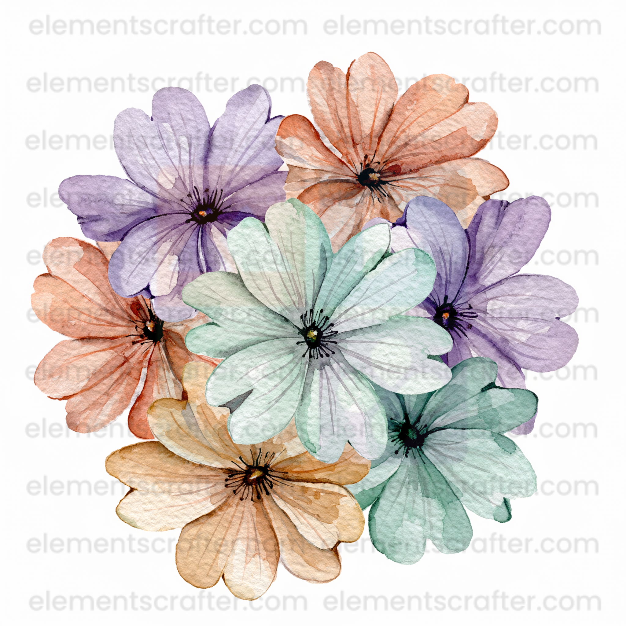 10 Watercolor Flowers PNG Transparent Elements Pack - 6600x6600 px 300 DPI | Digital Download | WCCA-0126 | Bundle-2