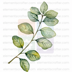 10 Watercolor Flowers PNG Transparent Elements Pack - 6600x6600 px 300 DPI | Digital Download | WCCA-0126 | Bundle-3