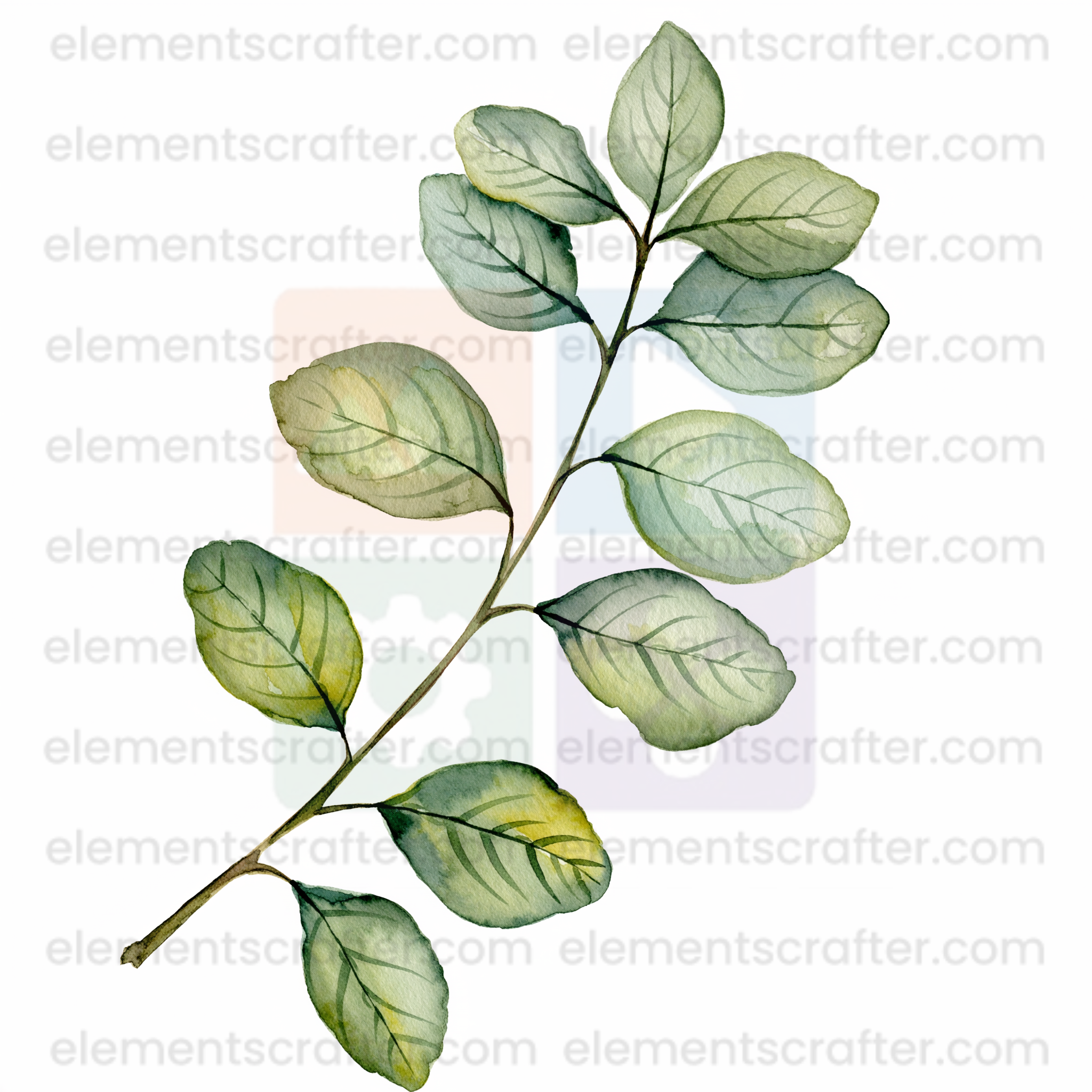 10 Watercolor Flowers PNG Transparent Elements Pack - 6600x6600 px 300 DPI | Digital Download | WCCA-0126 | Bundle-3