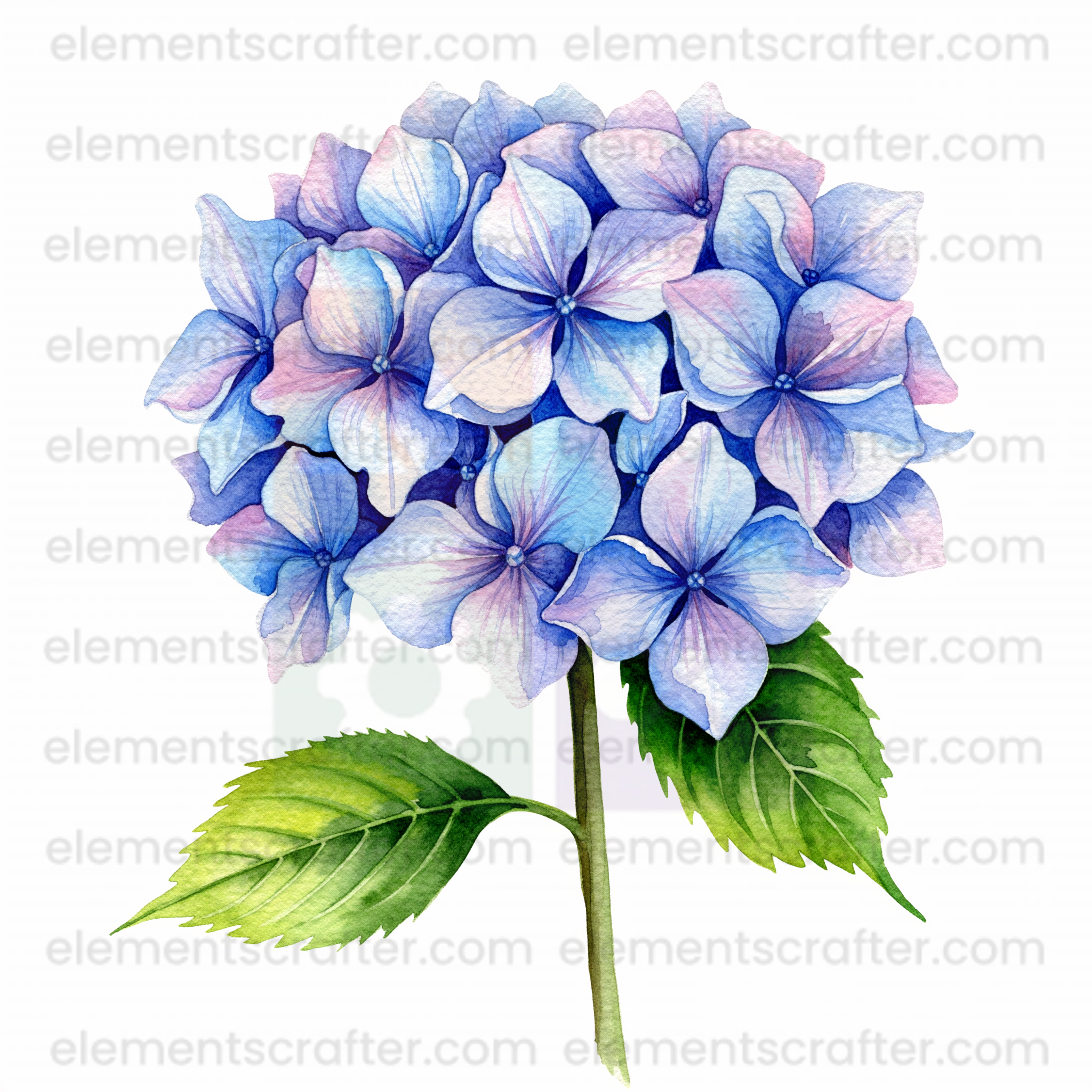 10 Watercolor Flowers PNG Transparent Elements Pack - 6600x6600 px 300 DPI | Digital Download | WCCA-0126 | Bundle-3