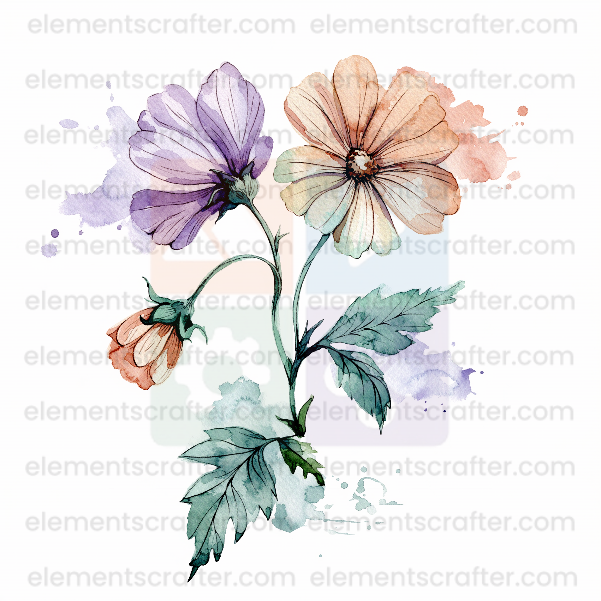 10 Watercolor Flowers PNG Transparent Elements Pack - 6600x6600 px 300 DPI | Digital Download | WCCA-0126 | Bundle-3