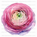 10 Watercolor Flowers PNG Transparent Elements Pack - 6600x6600 px 300 DPI | Digital Download | WCCA-0126 | Bundle-1